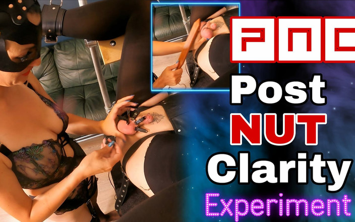 Training Zero: Experimento de leche con claridad de leche después de la...