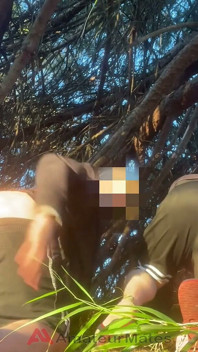 Compañeros De Cuarto Amateur Mostrando Su Culo Por Un Fan