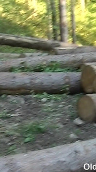 Bătrâni fut păpuși - bătrânul Tim Wetman are parte de muie cu vedere la persoana 1