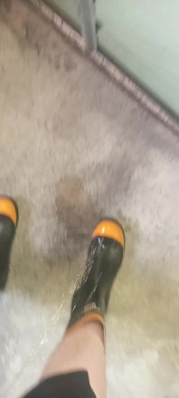 Pissing on Steel Toe Black Rubber Wellies