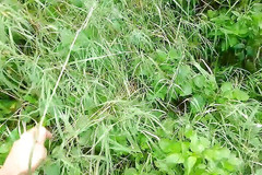 Gangbang straight: 我看到一个女人，逃跑了，自慰并尿了。