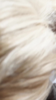 Gilf canadiană suge pula neagră și are parte de spermă pe țâțe