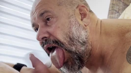 Bogaty przyssawka niedźwiedzia