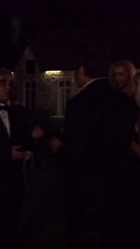 A Shining Brunette