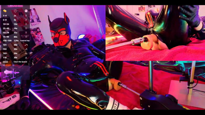 Roman Heart: Doggy Rubber Show
