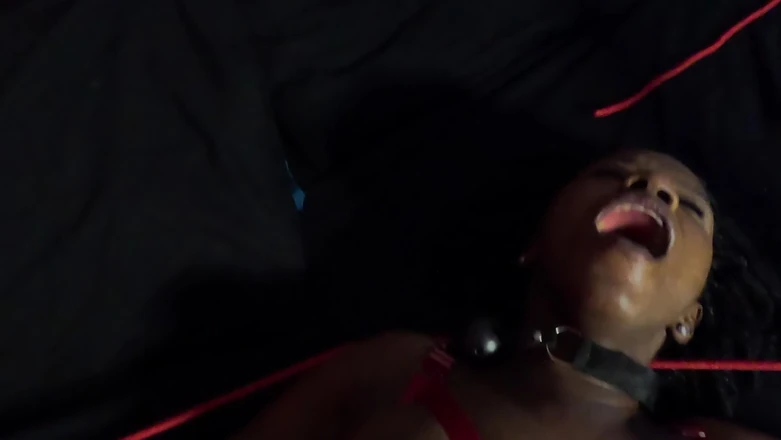 Black Swan: Flower Gets Tied up and Her Beautiful Tits Get Slapped...