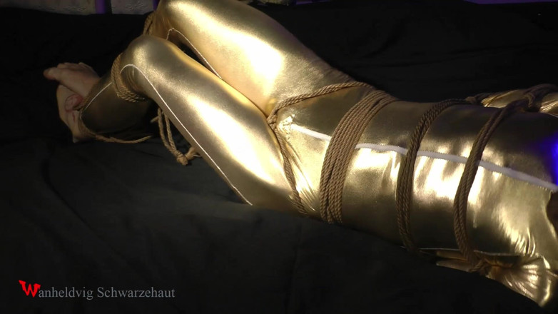 Wanheldvig: Zeus Goldy Bondage Challenge