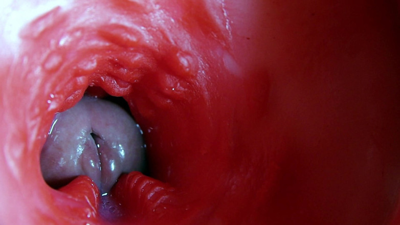 SEXY_GUYBEST: Kamera asmr lubang basah berkuncir kualitas super di dalam