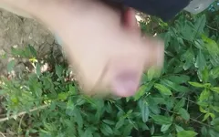 Bayer I'm Forst Only the End and the Cum