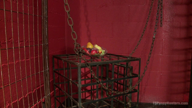 TS Pussy Hunters by Kink: Лиза Tiffian подчиняется TS Honey Foxxx и ее большом черному члену