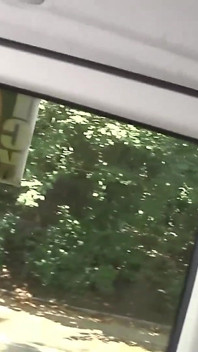 Fick Bus Outdoor Fuck Frenzy in Van