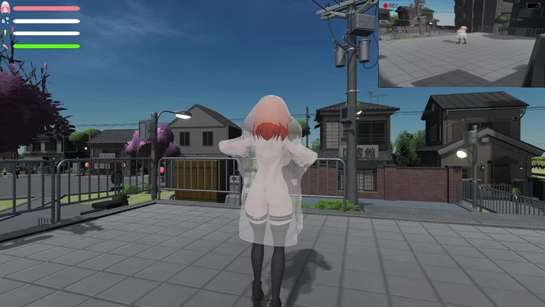 PornGameHunter: Complete Gameplay - Roxannes Exhibitionist, Part 1