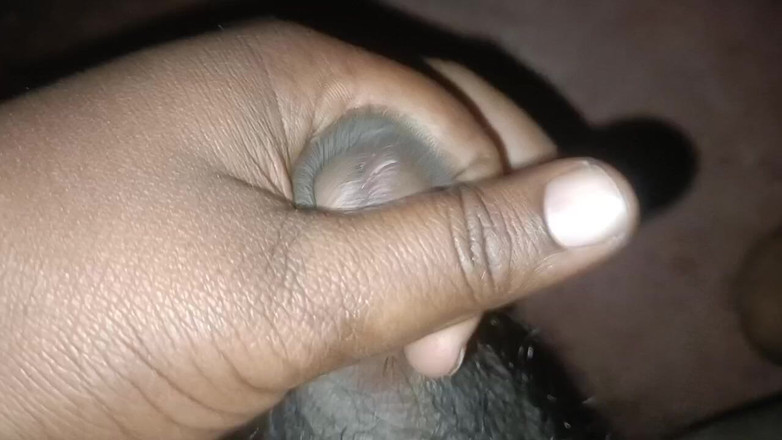 LegalVector8: Indiana calda