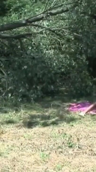 Van a hacer un picnic y encuentran a otros chicos dispuestos a follar con ellos