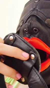 Gimp Toy