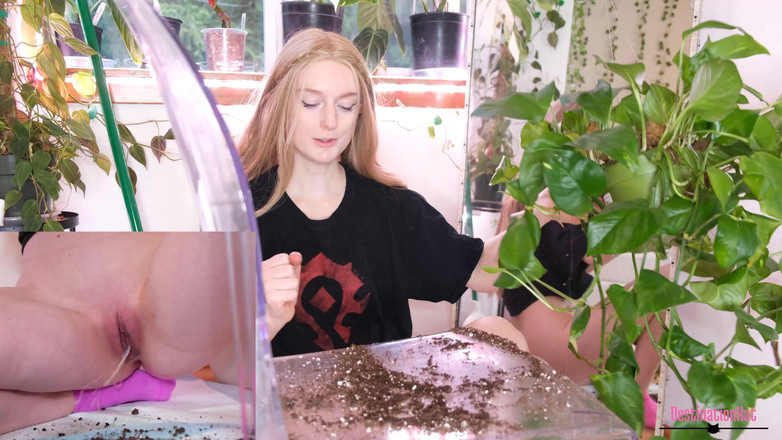 Destination Kat: Čůrání při repottingu