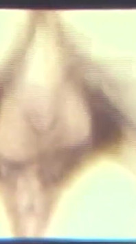 Pay Now Touch Later - (restyling Movie in Full HD Version)