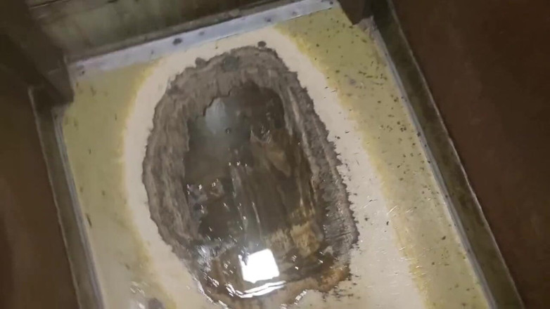 Putarankahotmilf: Pissing su una panchina nel parco e sull'ascensore