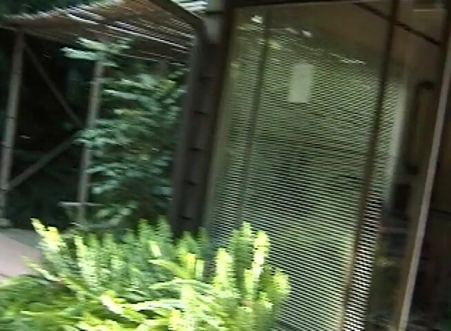 Public Lust: Blonda fermecătoare este futută în aer liber în curul ei strâmt