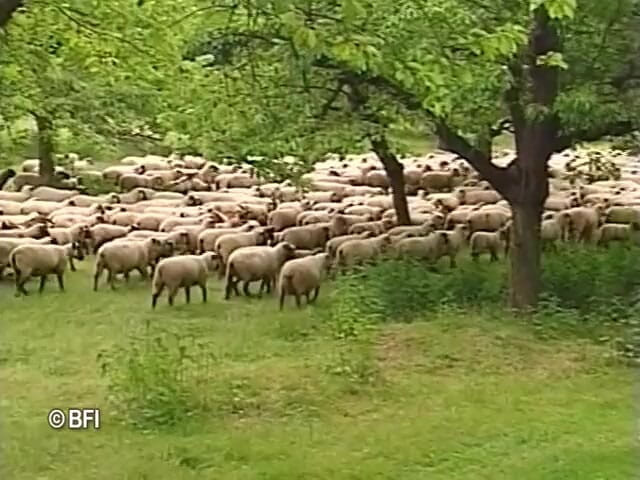 Dutch Desire Nights: DVD Manastır duvarlarının arkasında, bölüm 3