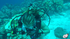 Mistress Pink Pearl: O samotě v Bonaire