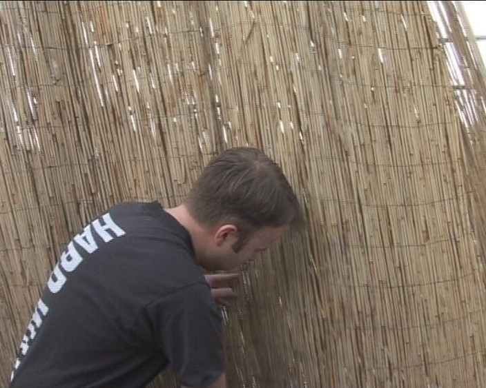 Porno Cloud: Mothers Next Door