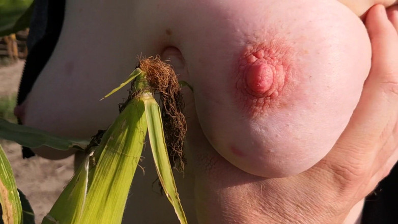 Bouncy Tits Action: Slap my tits in corn field