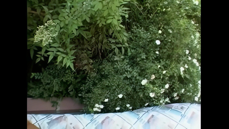 2 much love: 내 친구의 자지를 원하는 우유로 가득 찬 임신한 와이프 - 에피소드 #01