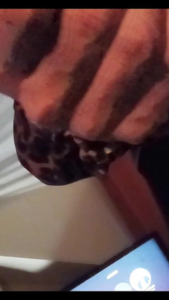 Wank Till Cum thumbnail