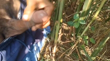 BlondeTroubleshootor: Arka arkaya bir videoda 12 boşalma