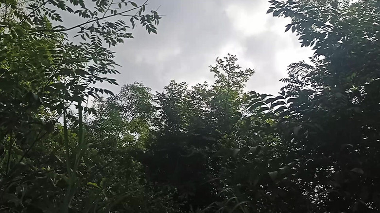 raoa6015: Sincronizare corp prea frumoasă în natură