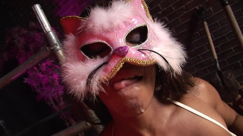 Mask-Night: Když kočička smrdí ptákem, musí ho mít