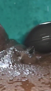 Firehydrant Pussy