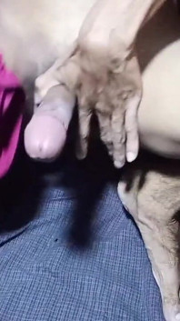 Young Boy Masturbate