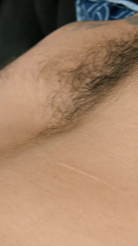 Lobo masturbarse