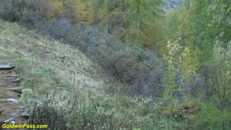Goldwin pass: Duro alemán deepthroat anal Sexo