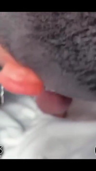 Solo Anal
