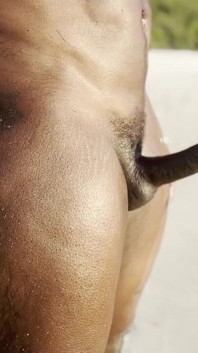 Baise en croisière à la plage