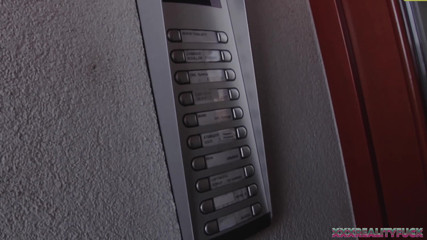 Czech Pornzone: Eager orgy in amateurs bedrooms, vol.11