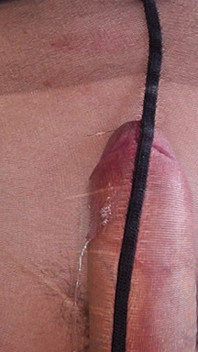 Everybody Loves Girl Cock in Pantyhose