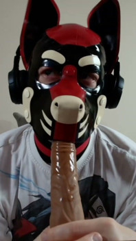 Latex Pet Sucks His Rubber Bone. Watch the Full on My Fancentro