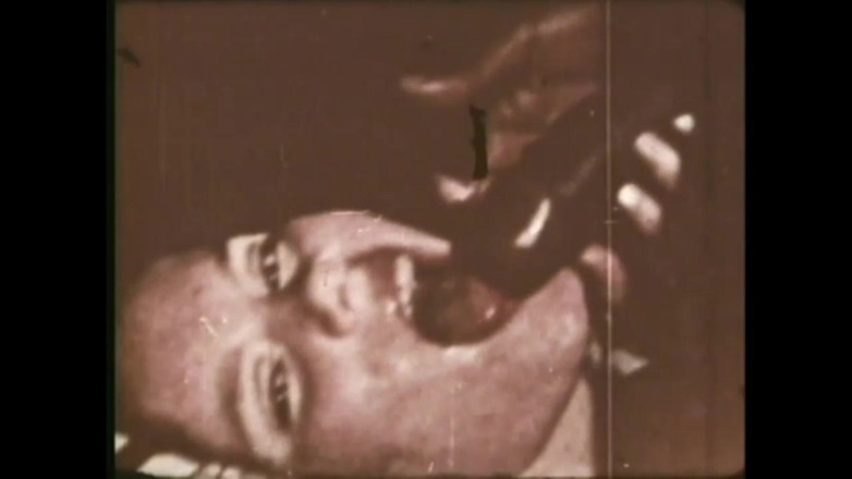 The Unforgettable: Das Wilde Hengstfohlen