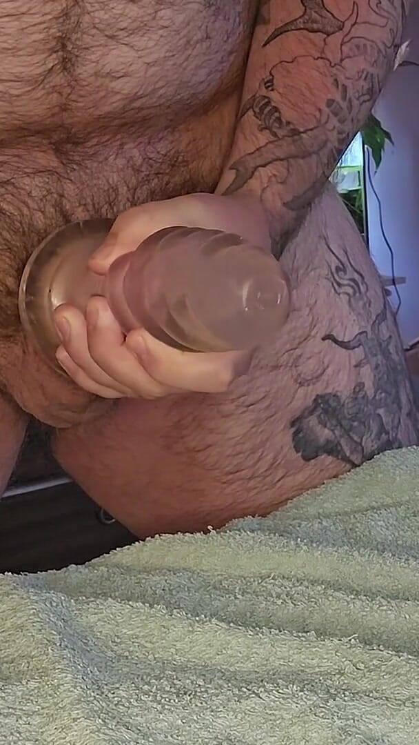 Daddy Bear Tries Out New Clear Toy (Chris Underwill)
