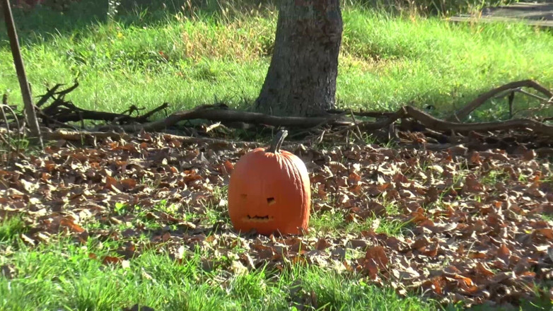 Sadurnus: Happy Halloween! Pumpkin Facebusting