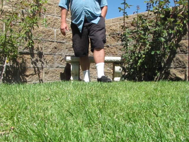 The porky pervert: Venkovní park Jerkoff 4