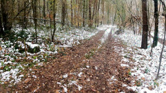 Bouncy Tits Action: 在雪地里徒步旅行时粉碎她的奶子