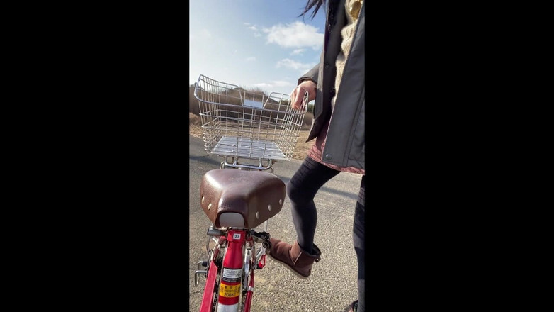 megu2002: Drumul de țară de iarnă nr. 105, devine vântul -- Jurnal secret de...