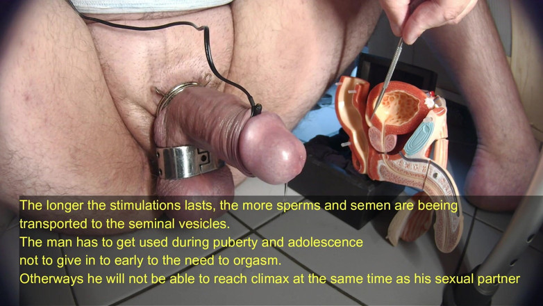 Gaylectrician: male sexual response tutorial