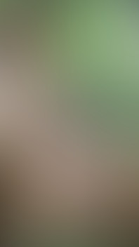 Voyeur in Forest - Girl Masturbates Outdoor