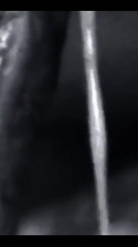 4291721065.mp4